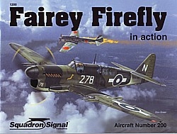 6782_1200_FairyFirefly